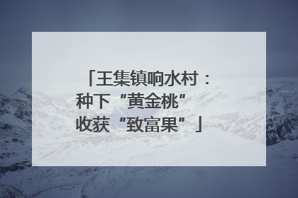 王集镇响水村：种下“黄金桃” 收获“致富果”
