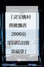 灵宝桃村黄桃飘香 2000亩果园结出致富硕果