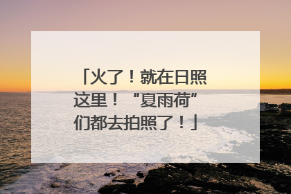 火了！就在日照这里！“夏雨荷”们都去拍照了！