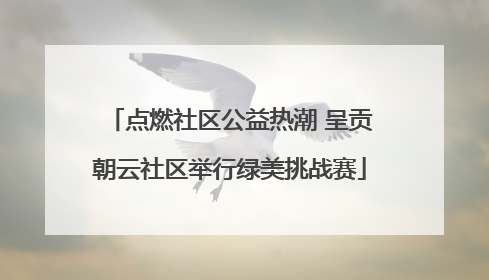 点燃社区公益热潮 呈贡朝云社区举行绿美挑战赛