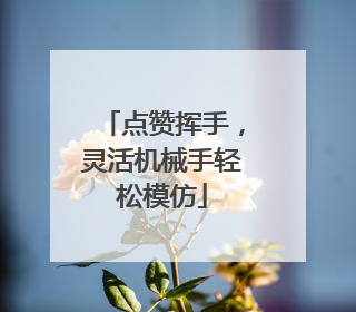 点赞挥手，灵活机械手轻松模仿