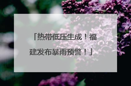 热带低压生成！福建发布暴雨预警！