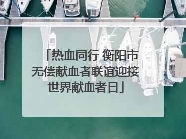 热血同行 衡阳市无偿献血者联谊迎接世界献血者日