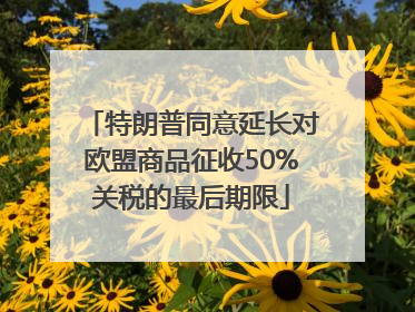 特朗普同意延长对欧盟商品征收50%关税的最后期限