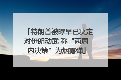 特朗普被曝早已决定对伊朗动武 称“两周内决策”为烟雾弹
