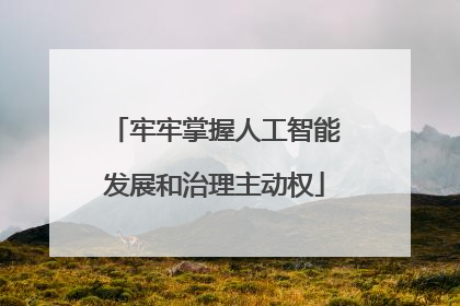 牢牢掌握人工智能发展和治理主动权