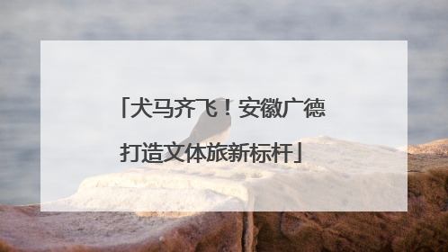 犬马齐飞！安徽广德打造文体旅新标杆