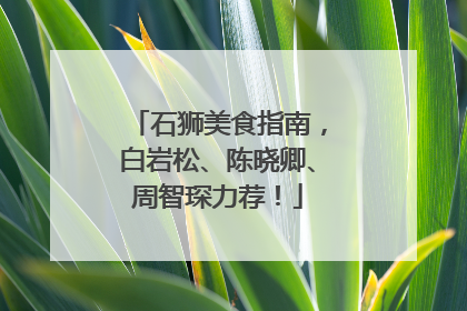 石狮美食指南，白岩松、陈晓卿、周智琛力荐！