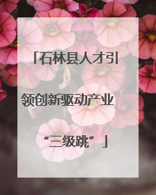 石林县人才引领创新驱动产业“三级跳”