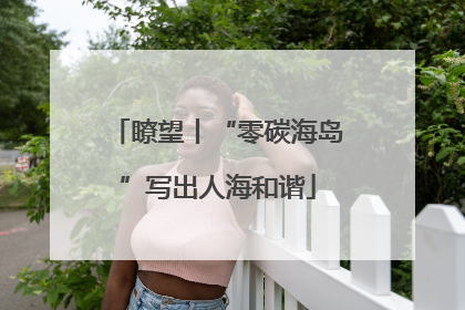 瞭望丨“零碳海岛”写出人海和谐