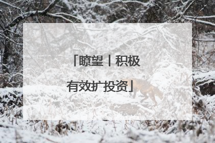 瞭望丨积极有效扩投资
