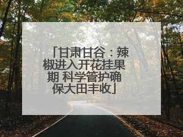 甘肃甘谷：辣椒进入开花挂果期 科学管护确保大田丰收