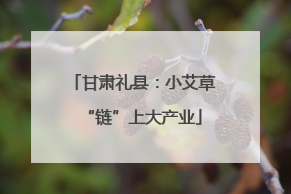 甘肃礼县：小艾草“链”上大产业