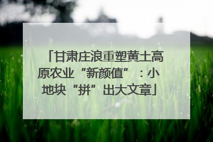 甘肃庄浪重塑黄土高原农业“新颜值”：小地块“拼”出大文章
