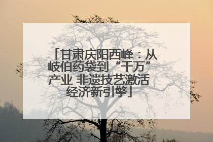 甘肃庆阳西峰：从岐伯药袋到“千万”产业 非遗技艺激活经济新引擎