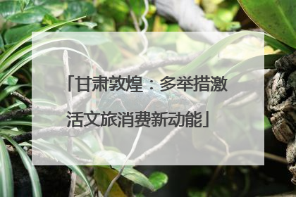 甘肃敦煌：多举措激活文旅消费新动能