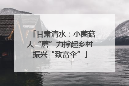 甘肃清水：小菌菇大“蘑”力撑起乡村振兴“致富伞”