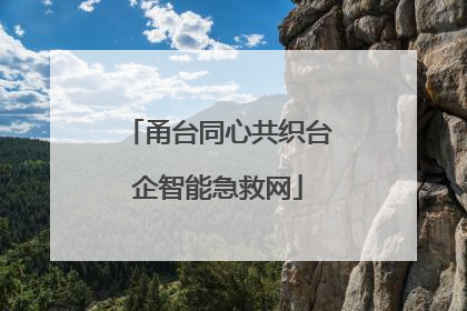 甬台同心共织台企智能急救网