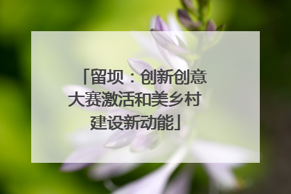 留坝：创新创意大赛激活和美乡村建设新动能