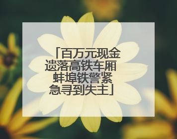 百万元现金遗落高铁车厢 蚌埠铁警紧急寻到失主