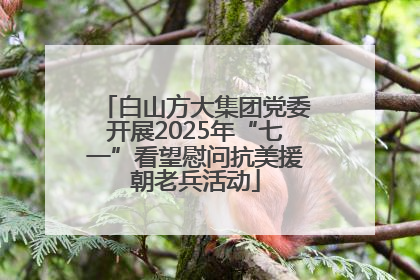 白山方大集团党委开展2025年“七一”看望慰问抗美援朝老兵活动