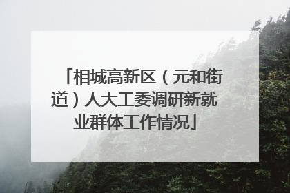 相城高新区（元和街道）人大工委调研新就业群体工作情况