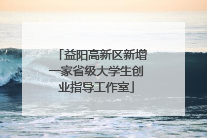 益阳高新区新增一家省级大学生创业指导工作室