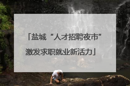 盐城“人才招聘夜市”激发求职就业新活力