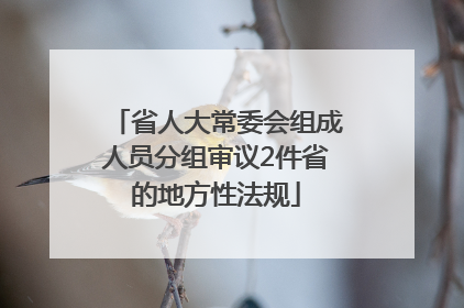 省人大常委会组成人员分组审议2件省的地方性法规