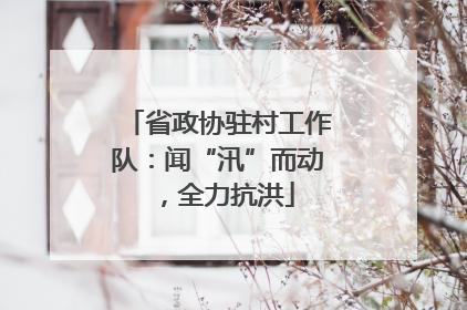 省政协驻村工作队：闻“汛”而动，全力抗洪