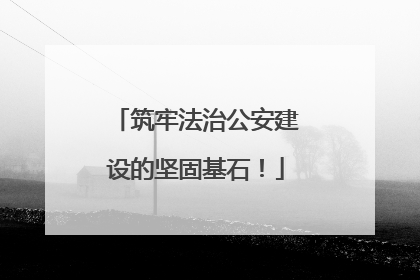 筑牢法治公安建设的坚固基石！
