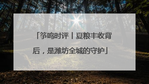 筝鸣时评丨夏粮丰收背后，是潍坊全城的守护