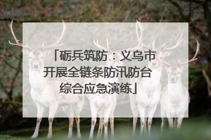 砺兵筑防：义乌市开展全链条防汛防台综合应急演练
