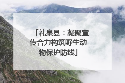 礼泉县：凝聚宣传合力构筑野生动物保护防线