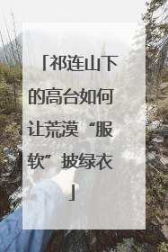 祁连山下的高台如何让荒漠“服软”披绿衣