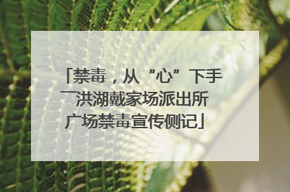 禁毒，从“心”下手――洪湖戴家场派出所广场禁毒宣传侧记