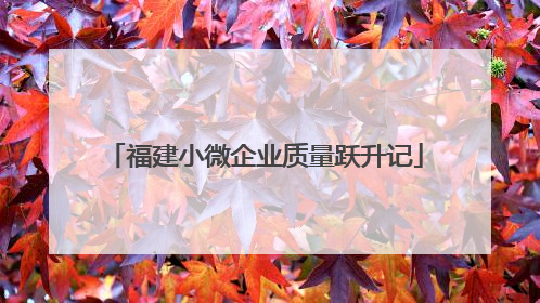 福建小微企业质量跃升记