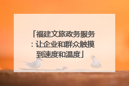 福建文旅政务服务：让企业和群众触摸到速度和温度