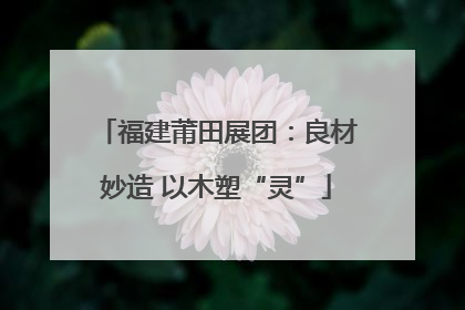 福建莆田展团：良材妙造 以木塑“灵”