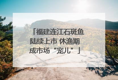 福建连江石斑鱼陆续上市 休渔期成市场“宠儿”