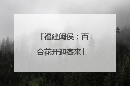福建闽侯：百合花开迎客来