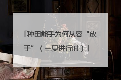 种田能手为何从容“放手”（三夏进行时）