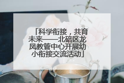 科学衔接，共育未来——北碚区龙凤教管中心开展幼小衔接交流活动