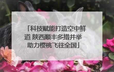 科技赋能打造空中鲜道 陕西顺丰多措并举助力樱桃飞往全国