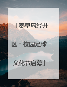秦皇岛经开区：校园足球文化节启幕