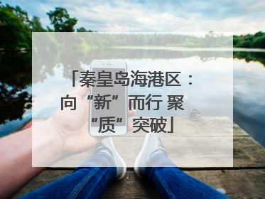 秦皇岛海港区：向“新”而行 聚“质”突破