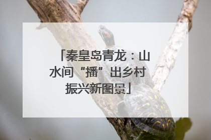秦皇岛青龙：山水间“播”出乡村振兴新图景