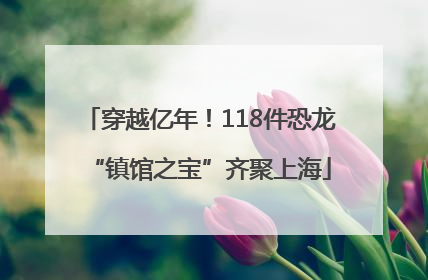 穿越亿年！118件恐龙“镇馆之宝”齐聚上海