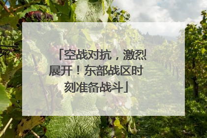 空战对抗，激烈展开！东部战区时刻准备战斗