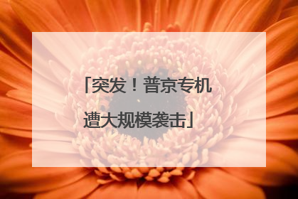 突发！普京专机遭大规模袭击